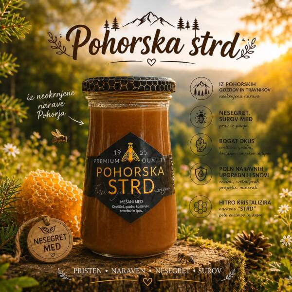 POHORSKA STRD